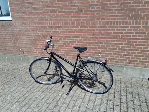 Damesfiets Koga Myata Terraliner