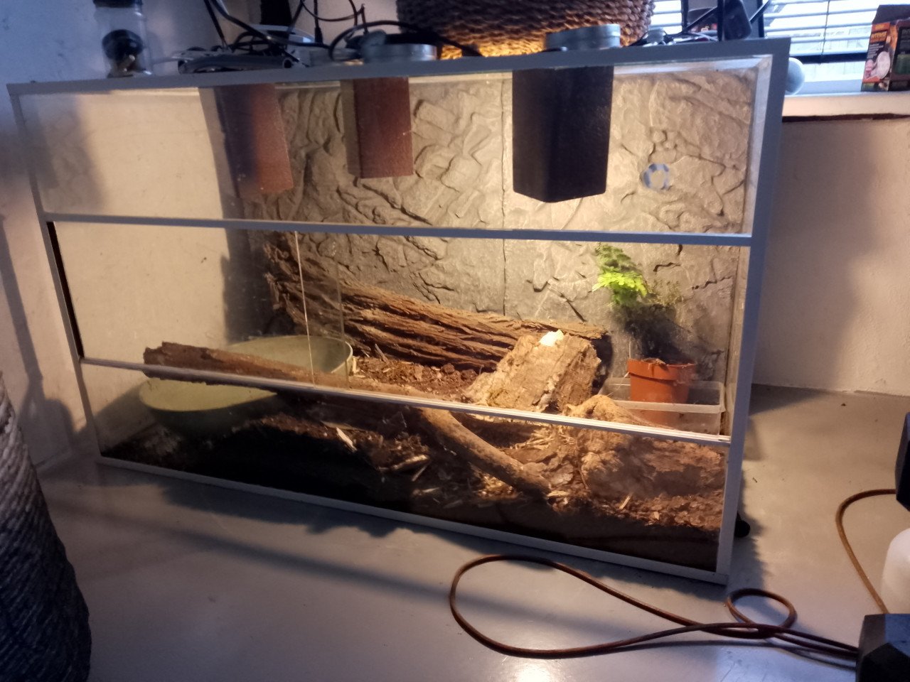 Terrarium