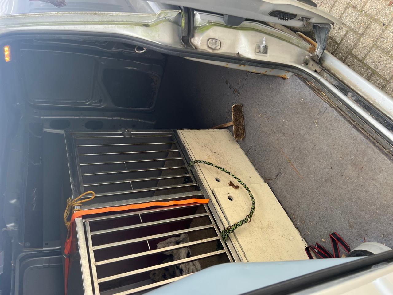 Peugeot Expert 1.6 HDI L2H1