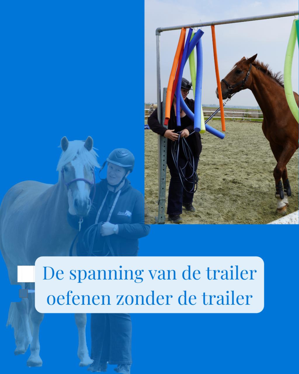 Ze vroeg om een paardentrainer, ze kreeg een coach voor zichzelf