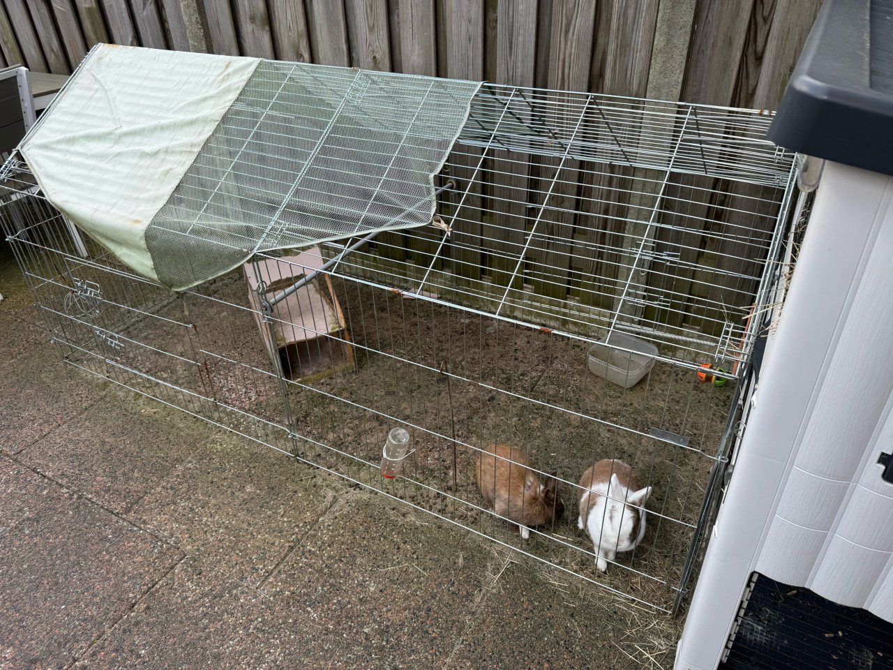 Konijnen compleet met hok, buitenren tonnen voor voer, etc.
