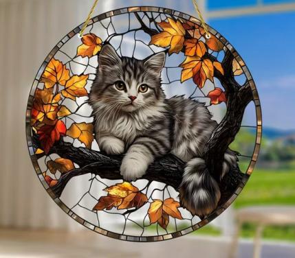 Raamhanger kitten