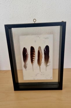 Zwarte houten fotolijst met dubbele glasplaten, 21x16 cm