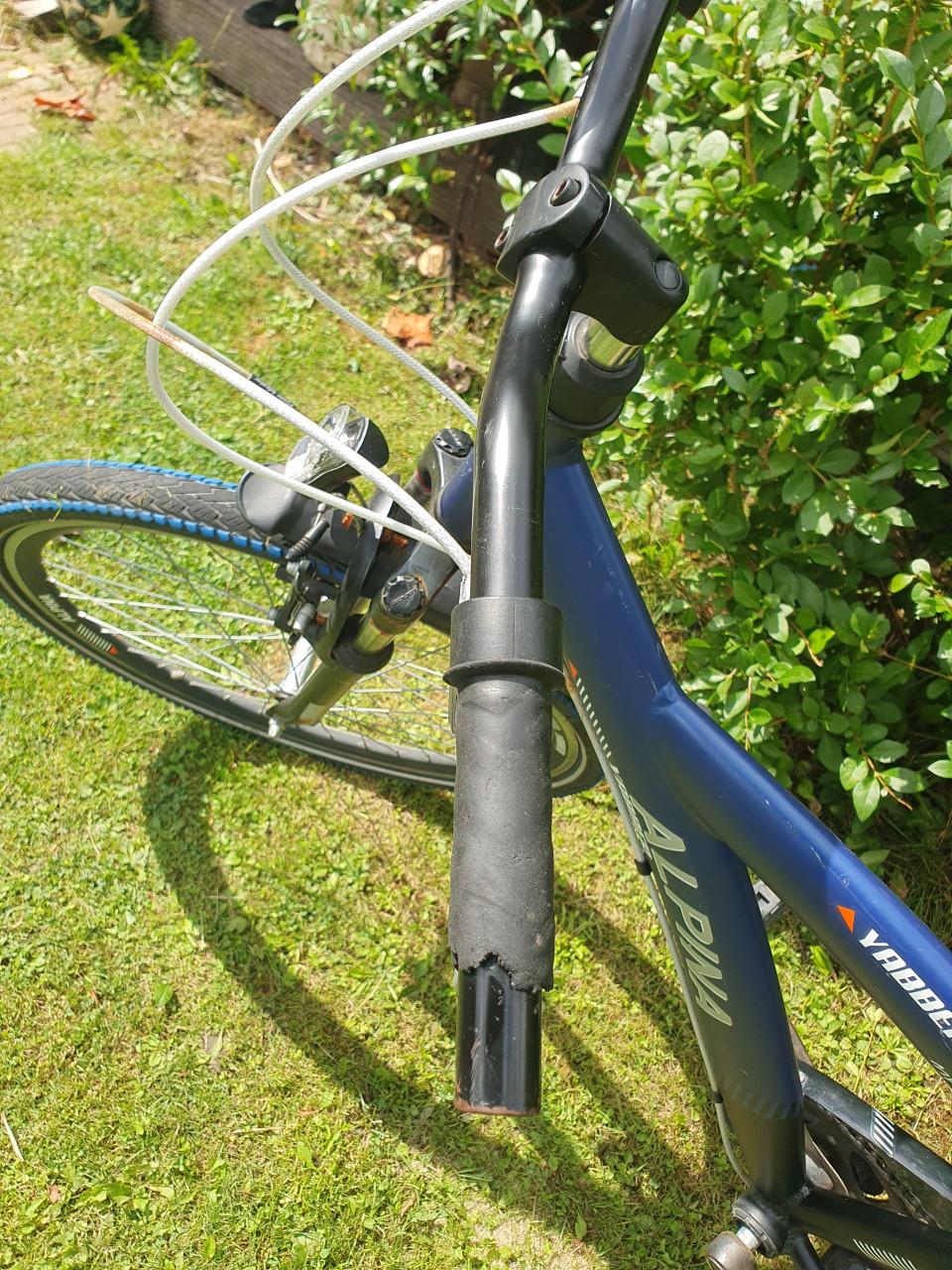 Alpina fiets jongens