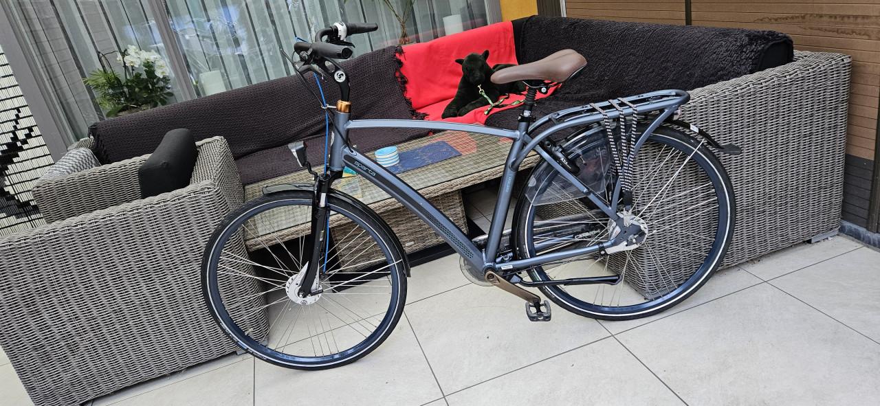 Sparta Sense Herenfiets