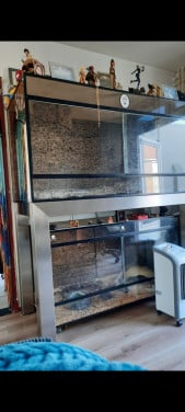 Terarium