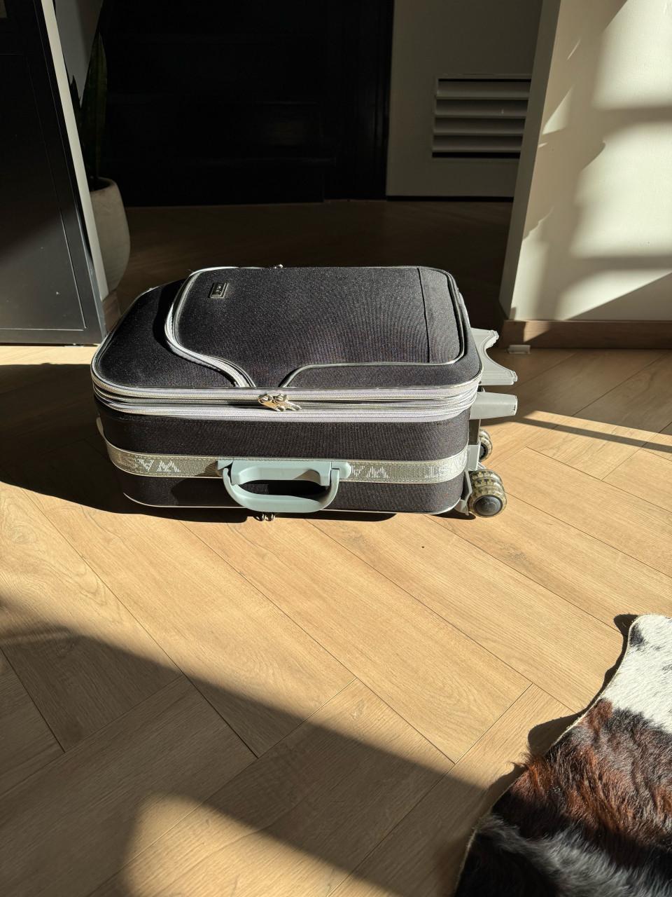 Handbagage of reiskoffer