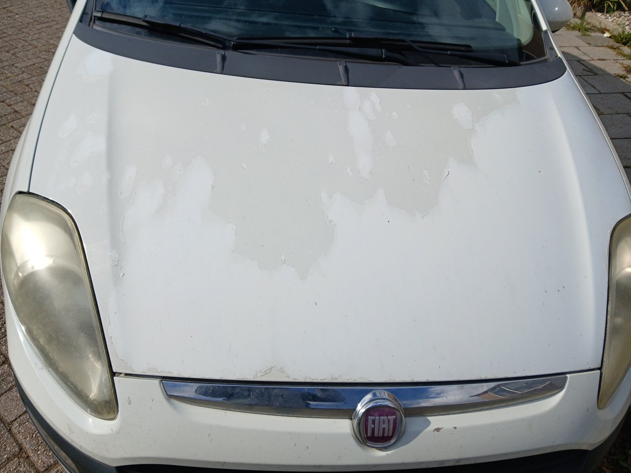 Fiat punto 1.3 multijet 2011 diesel