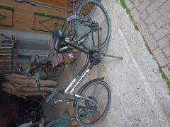 Dames fietsen