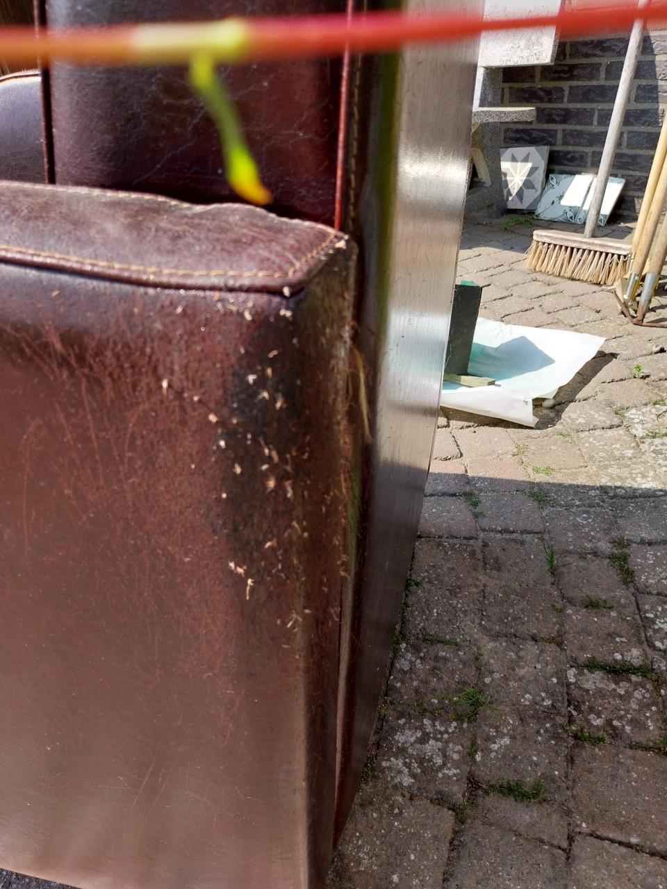 Fauteuil ( echt leer)