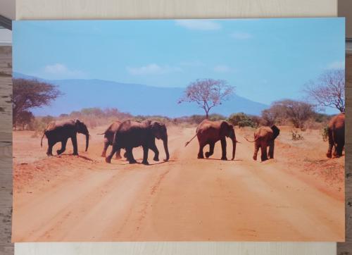 Foto uit Kenia Afrika