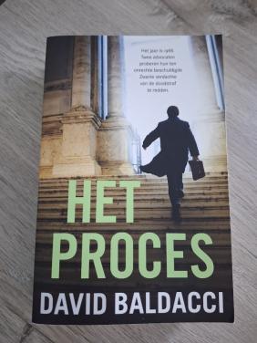 David Baldacci - Het proces