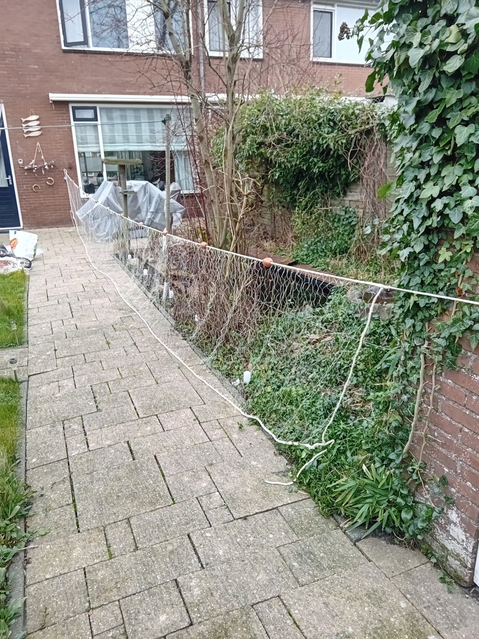 (Zee)Visnetten