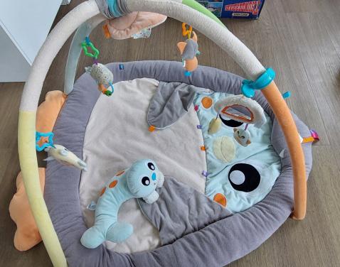 Educatief speelkleed met bogen en tummy time knuffel