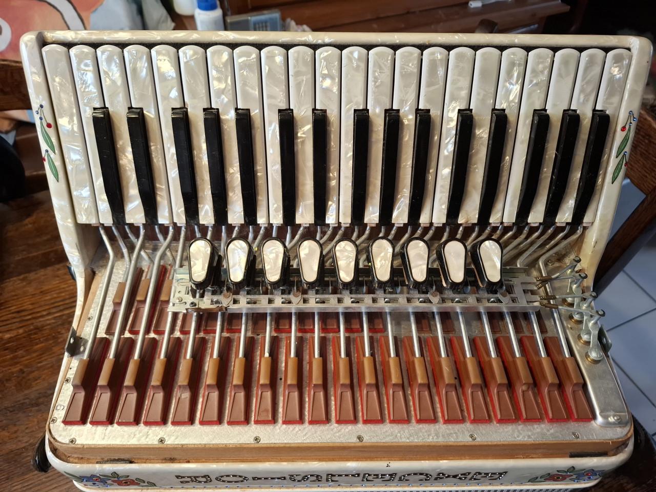 Avcordeon EXCELSIOR LADY 96 bas