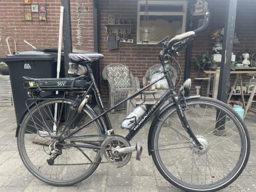 Kogamiyata Randonneur