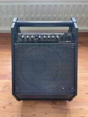 Roland PM-30 (Drum)Monitor