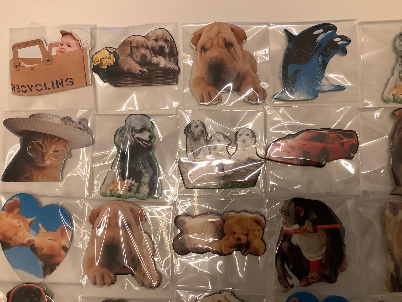 Partij super leuke magneetjes ( partij 21)