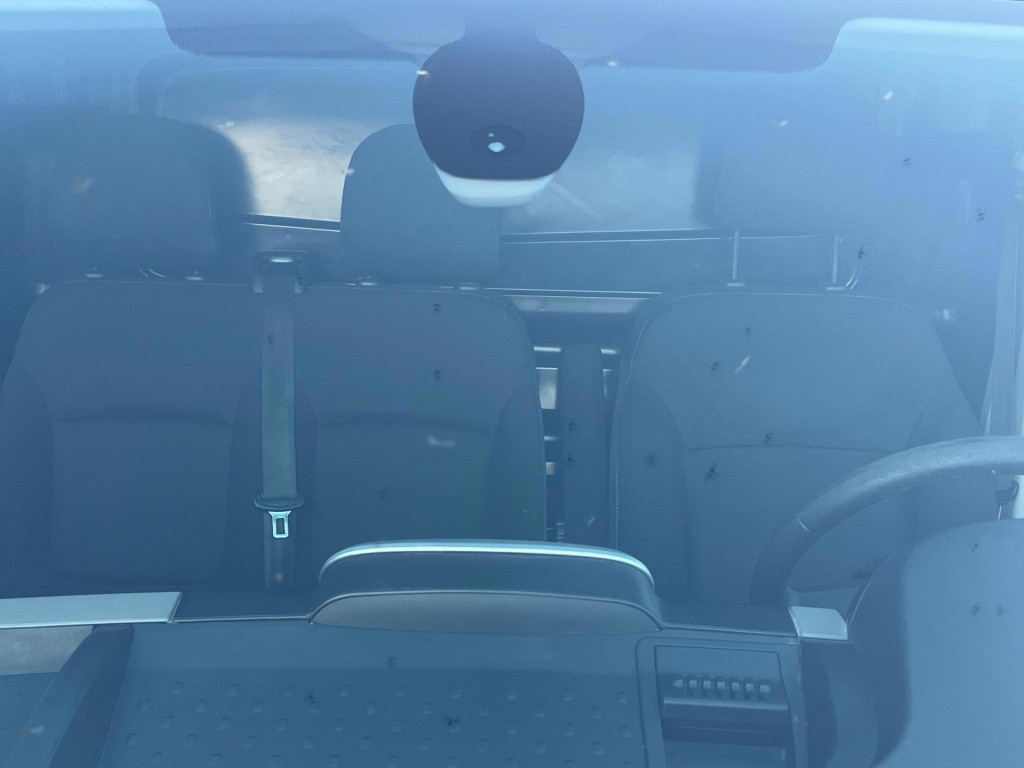 Renault Trafic 1.6 dci t29 l2h1 comfort