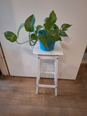 Plantetafeltje