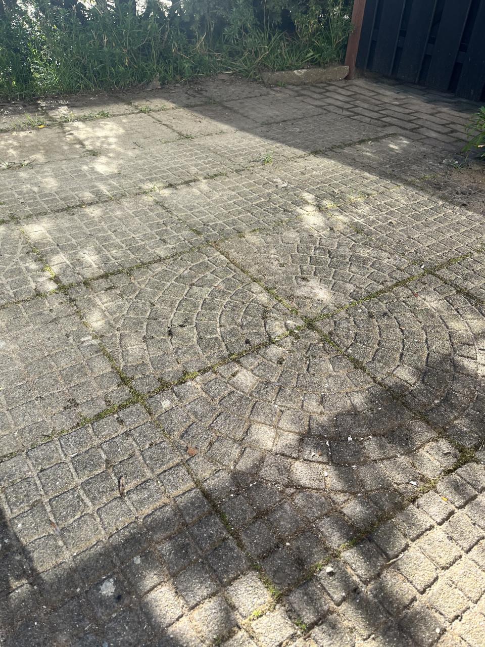 270 tuintegels (40x40) - grijs - met motief