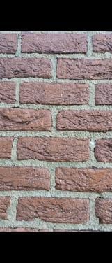 Wilt uw huis of tuin ook weer blinkend hebben? reiniging