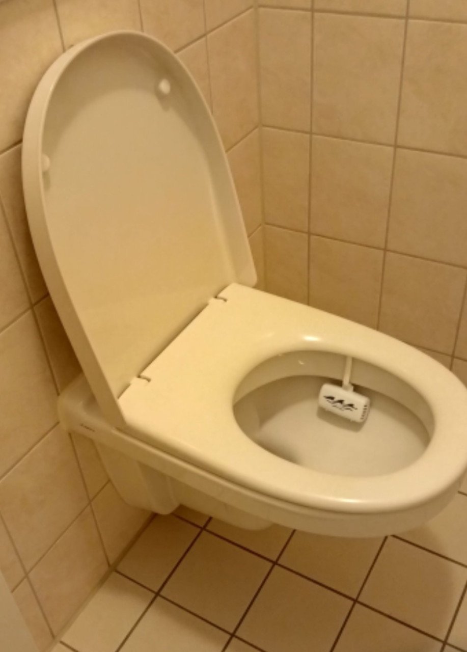 Hang toilet
