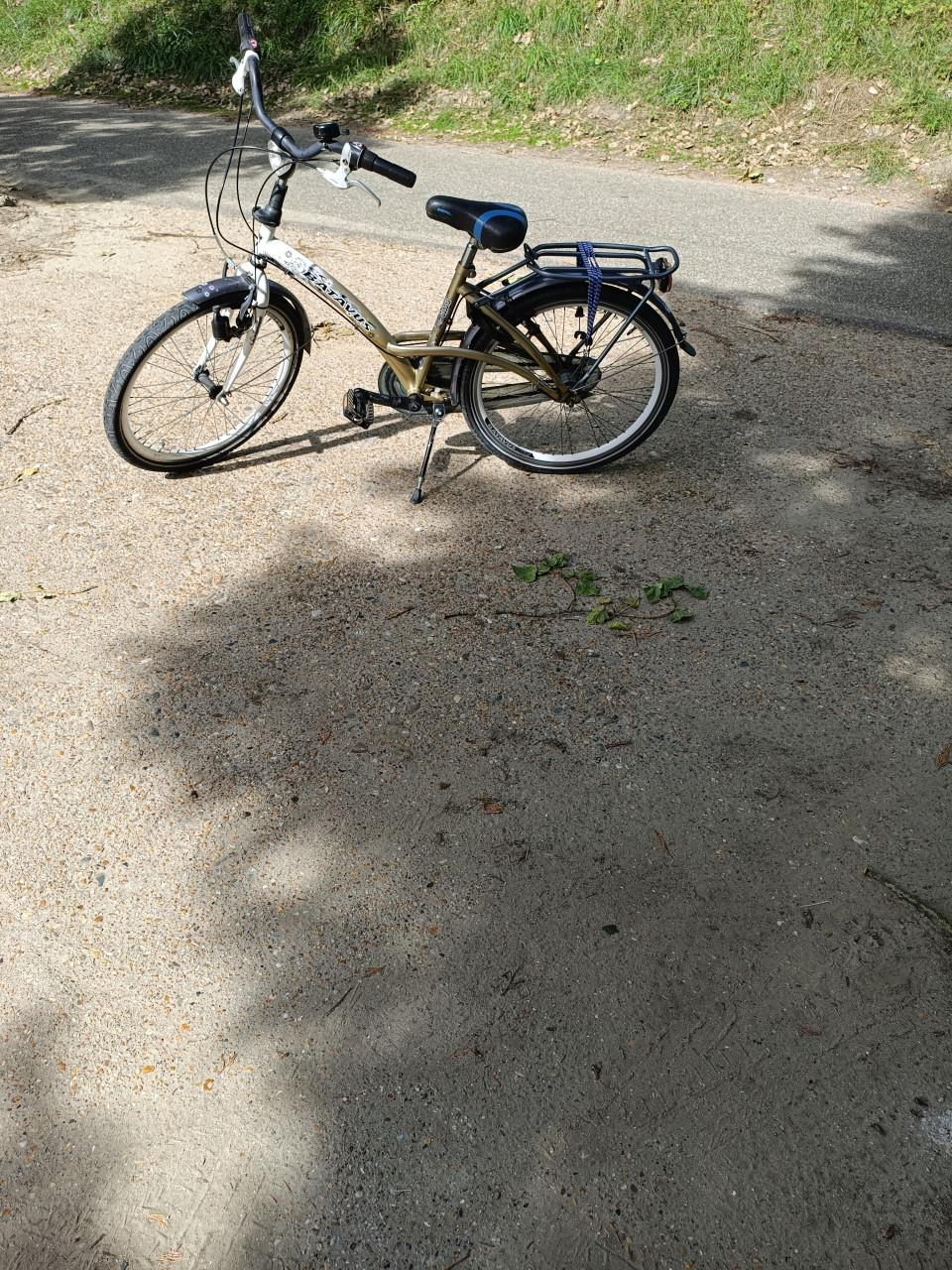 Meisjes fiets