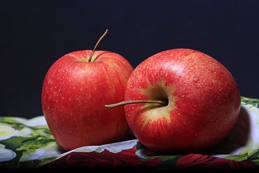 Biologisch groente/fruit/bloemen kweken in Middelburg