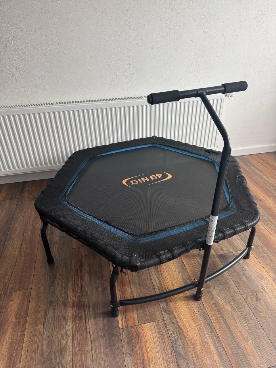 Sport mini trampoline