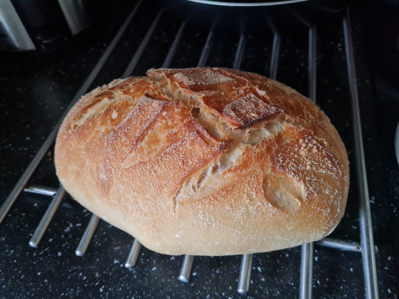 Starter voor zuurdesembrood
