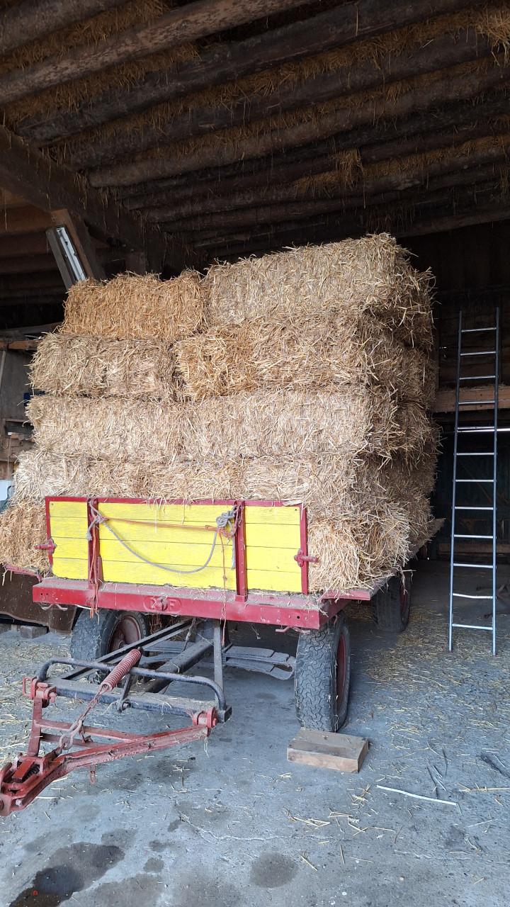 Gereserveerd - Kleine strobaaltjes