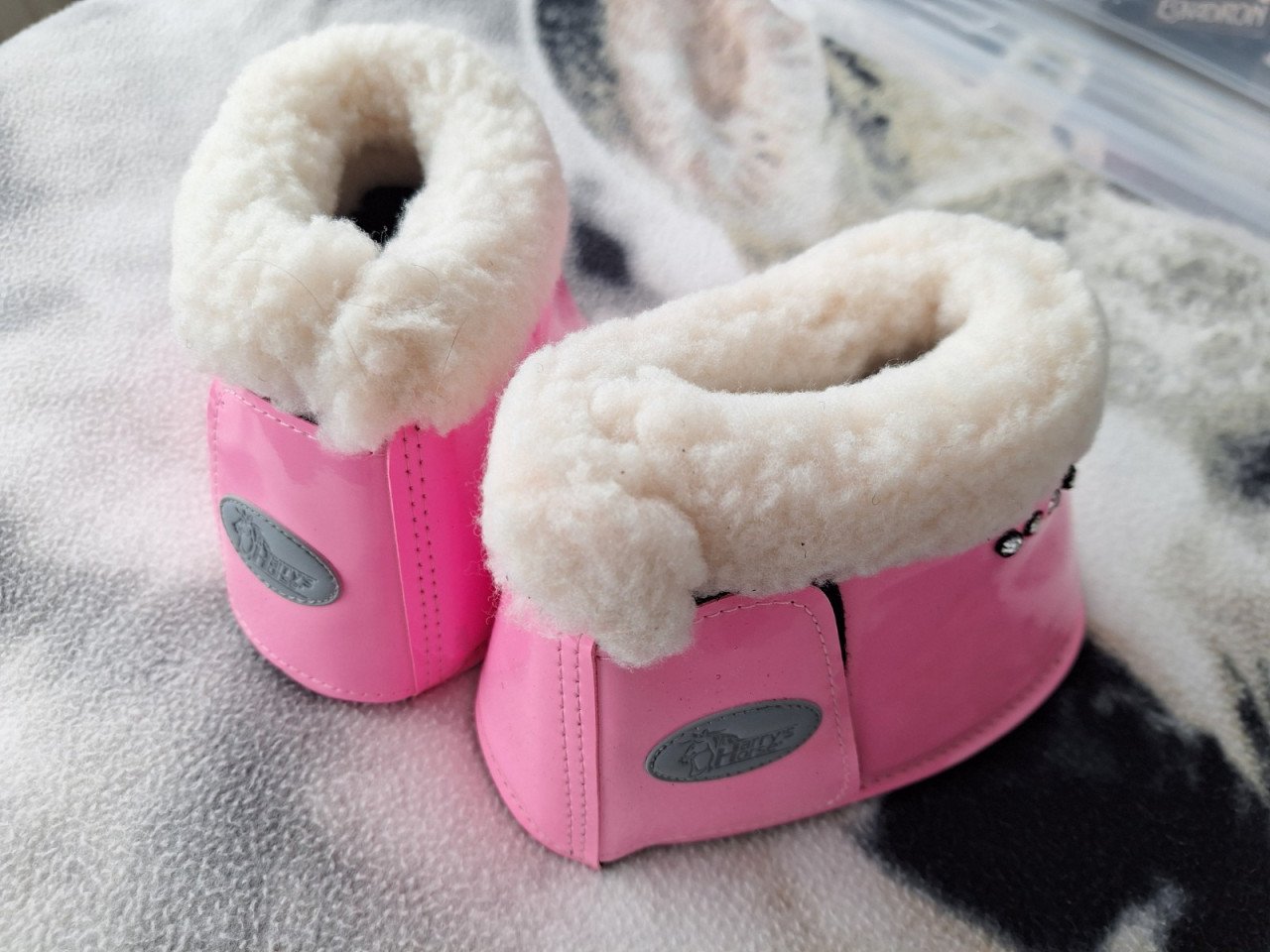 Bont springschoenen