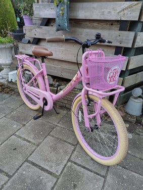 Spirit daisy transport fiets