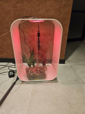 Biorb Life 45 aquarium met leuke accesoires!