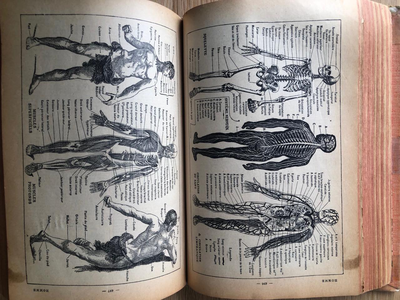 Nouveau Petit Larousse Illustré