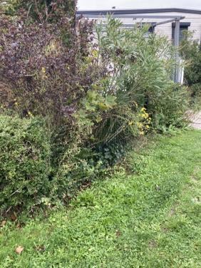 Hulp voor tuin gevraagd