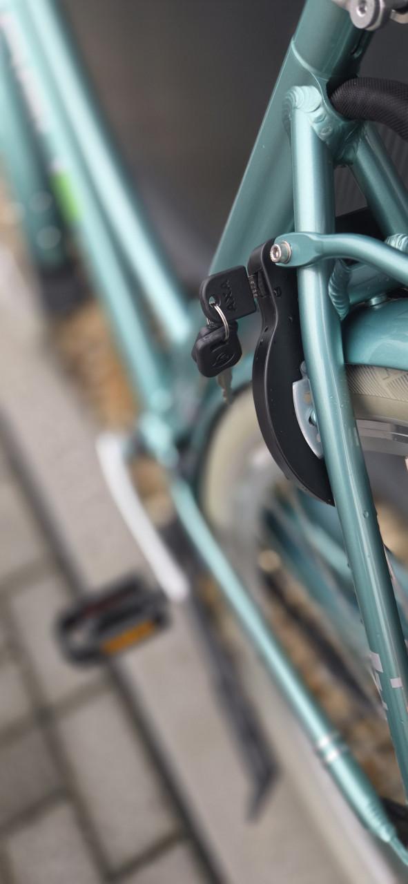 Mooie Vogue Elite N7+ Transporter ebike 53cm