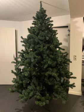 Kerstboom 2.40  m hoog  1.45 m breed