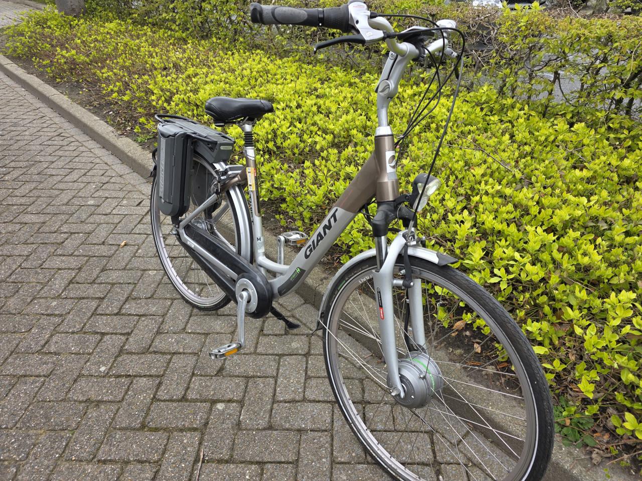 Keurig nette Giant Twist elektrische fiets