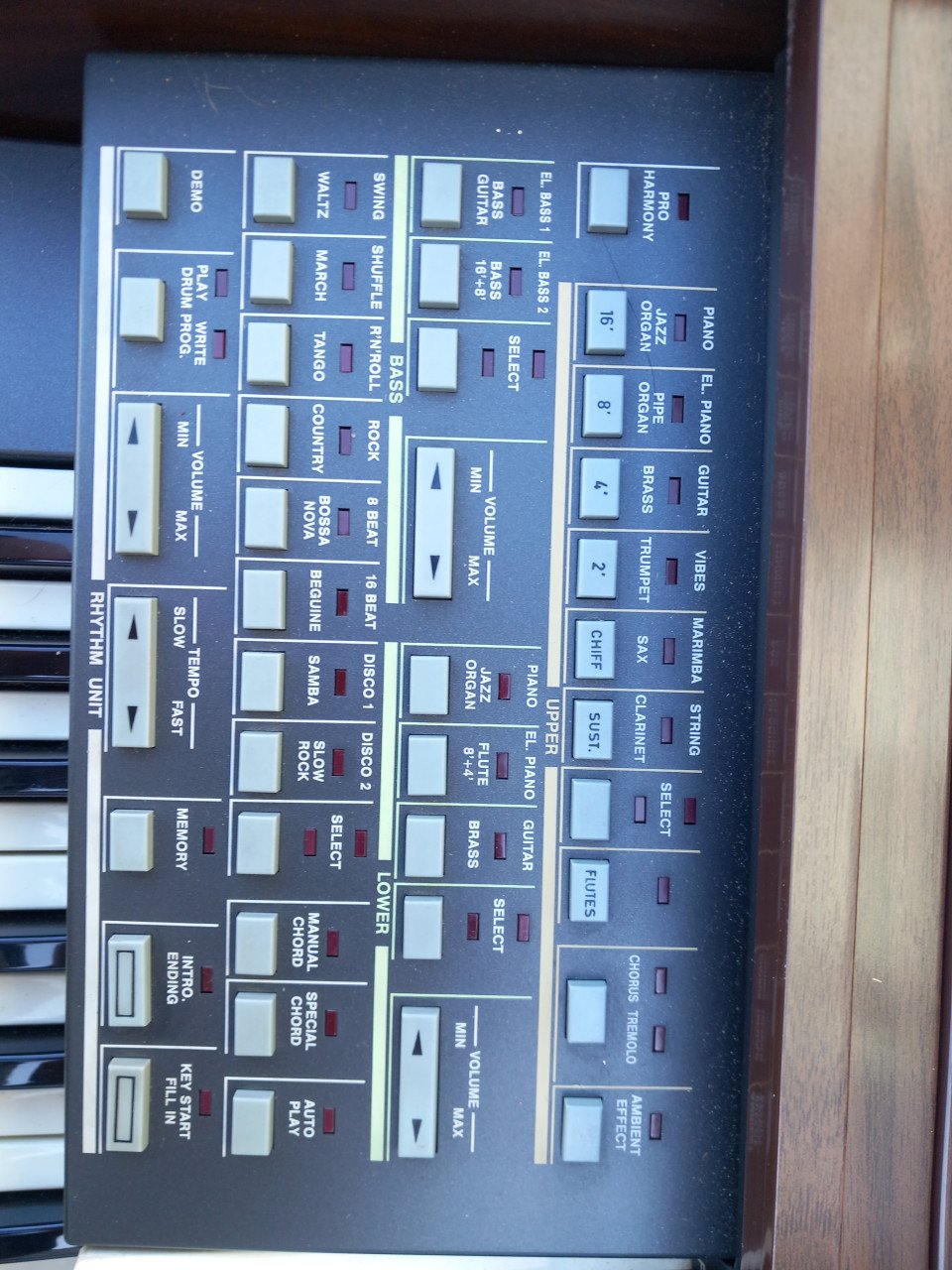 Elektronisch orgel inclusief muziekboeken