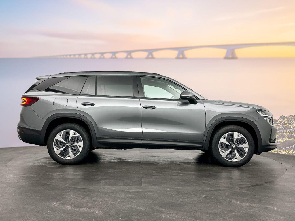 Skoda Kodiaq 7-zitter business edition 1.5 tsi m-hev 110 kw / 150 pk suv 7 