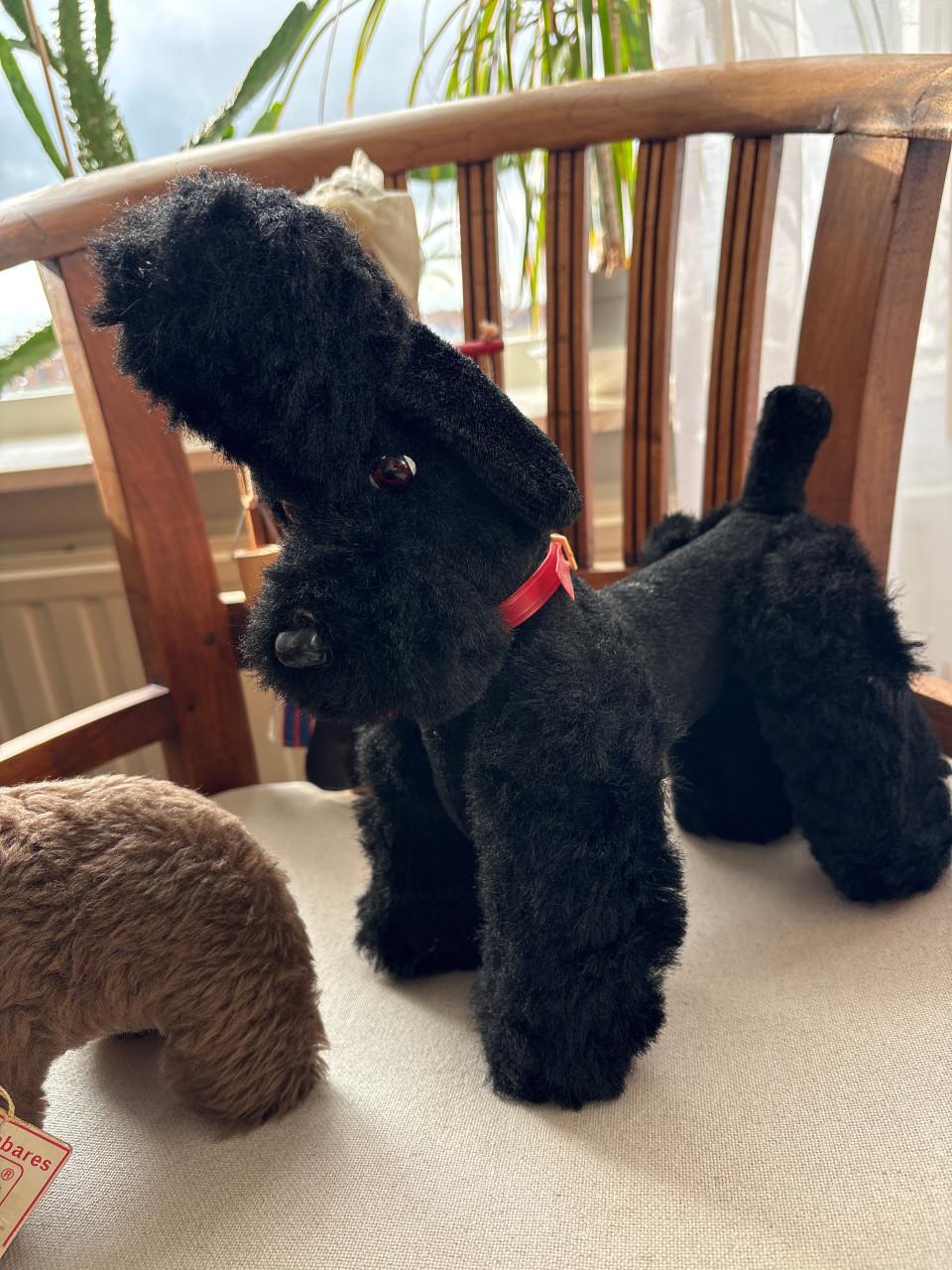 Vintage pop. teddies