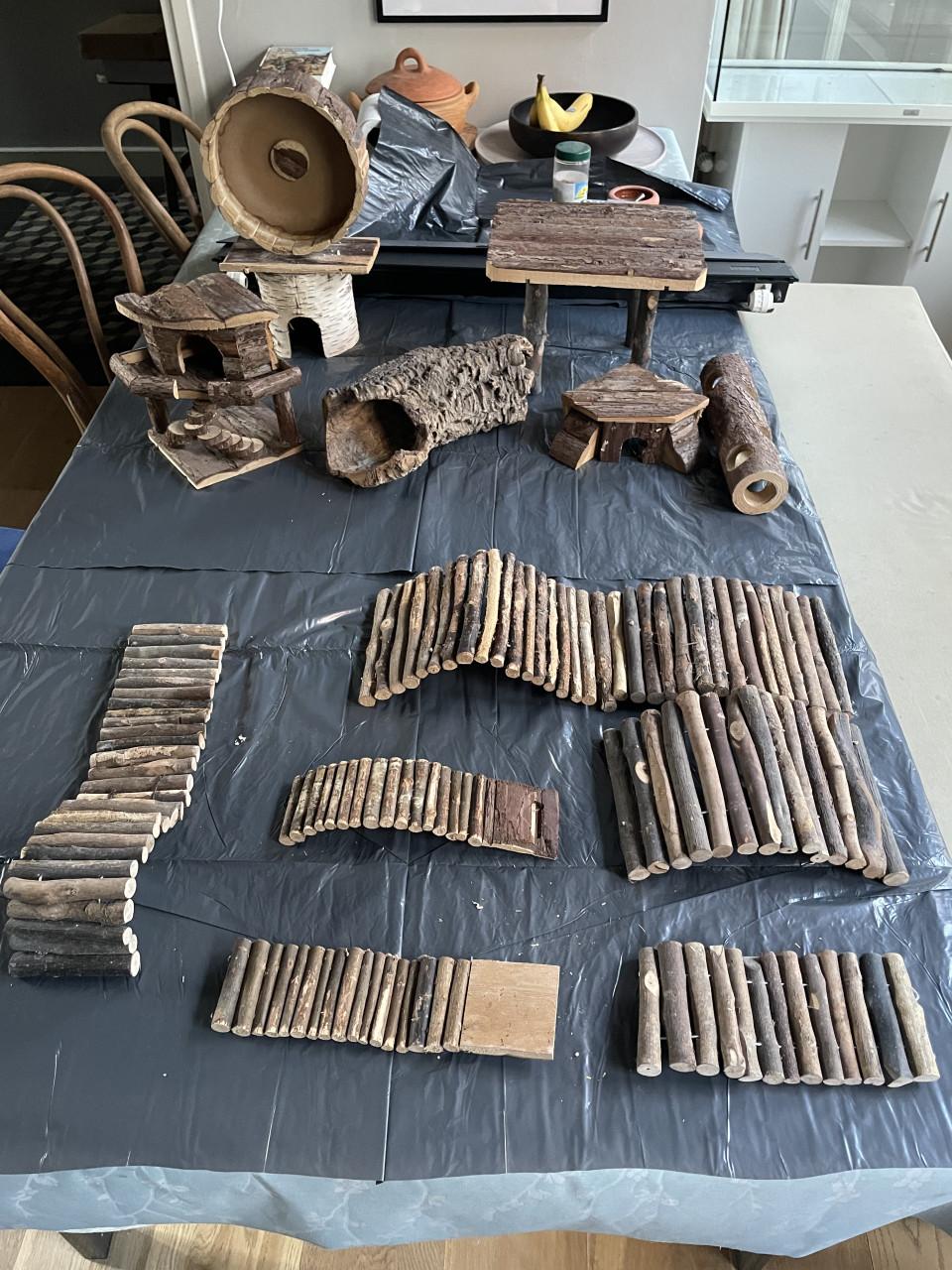 Hamster binnenhuis-paradijs: verblijf met alle benodigheden.