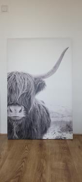 Mooi canvas schilderij van een Schotse Hooglander.