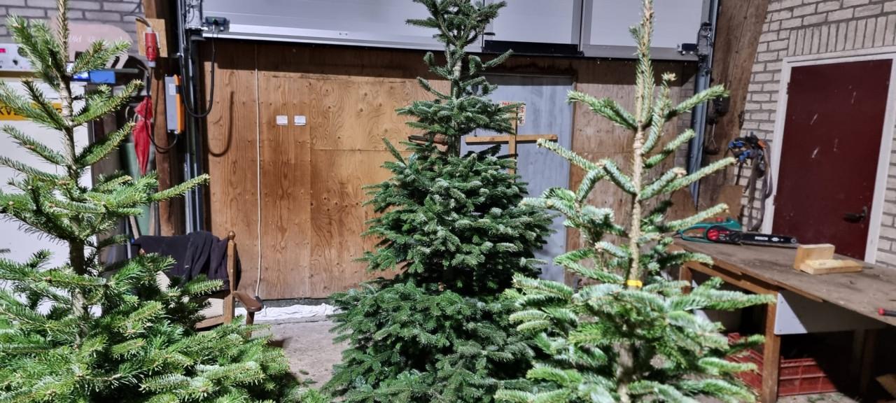 Nog steeds mooie kerstbomen te koop