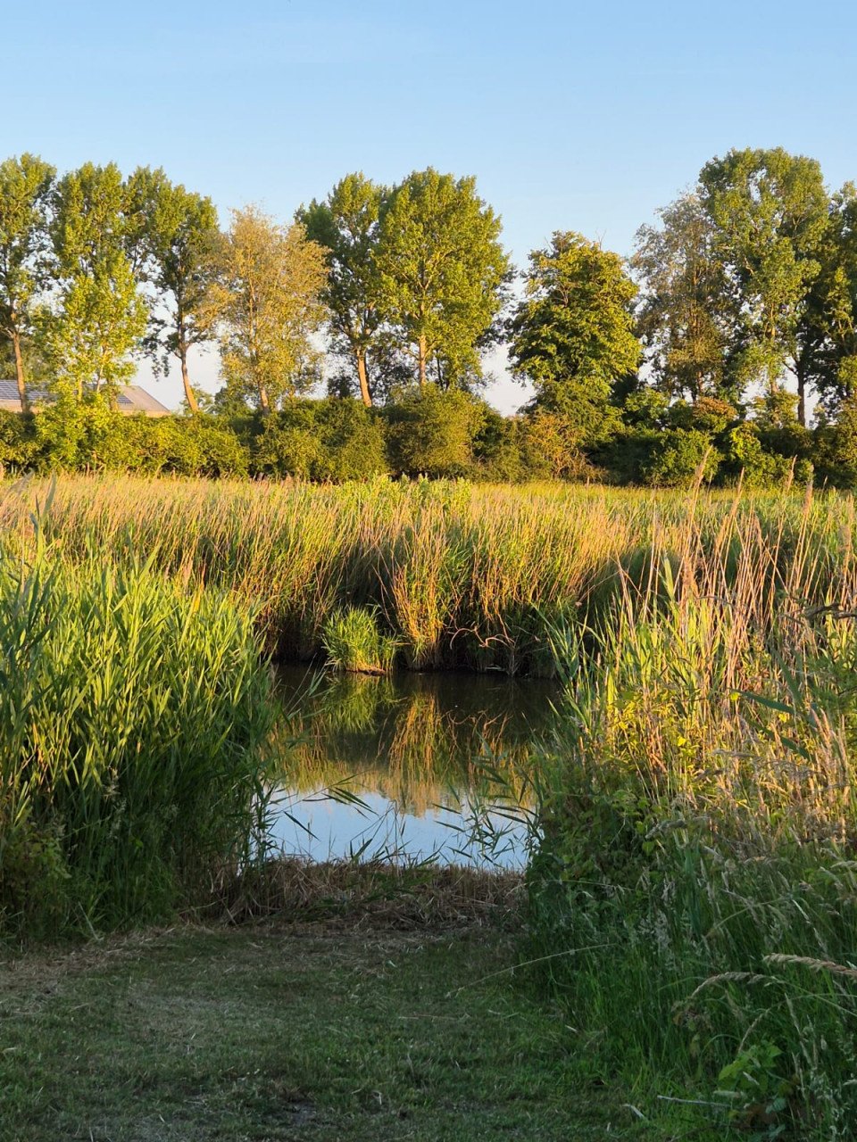 Huurwoning/ vakantiewoning