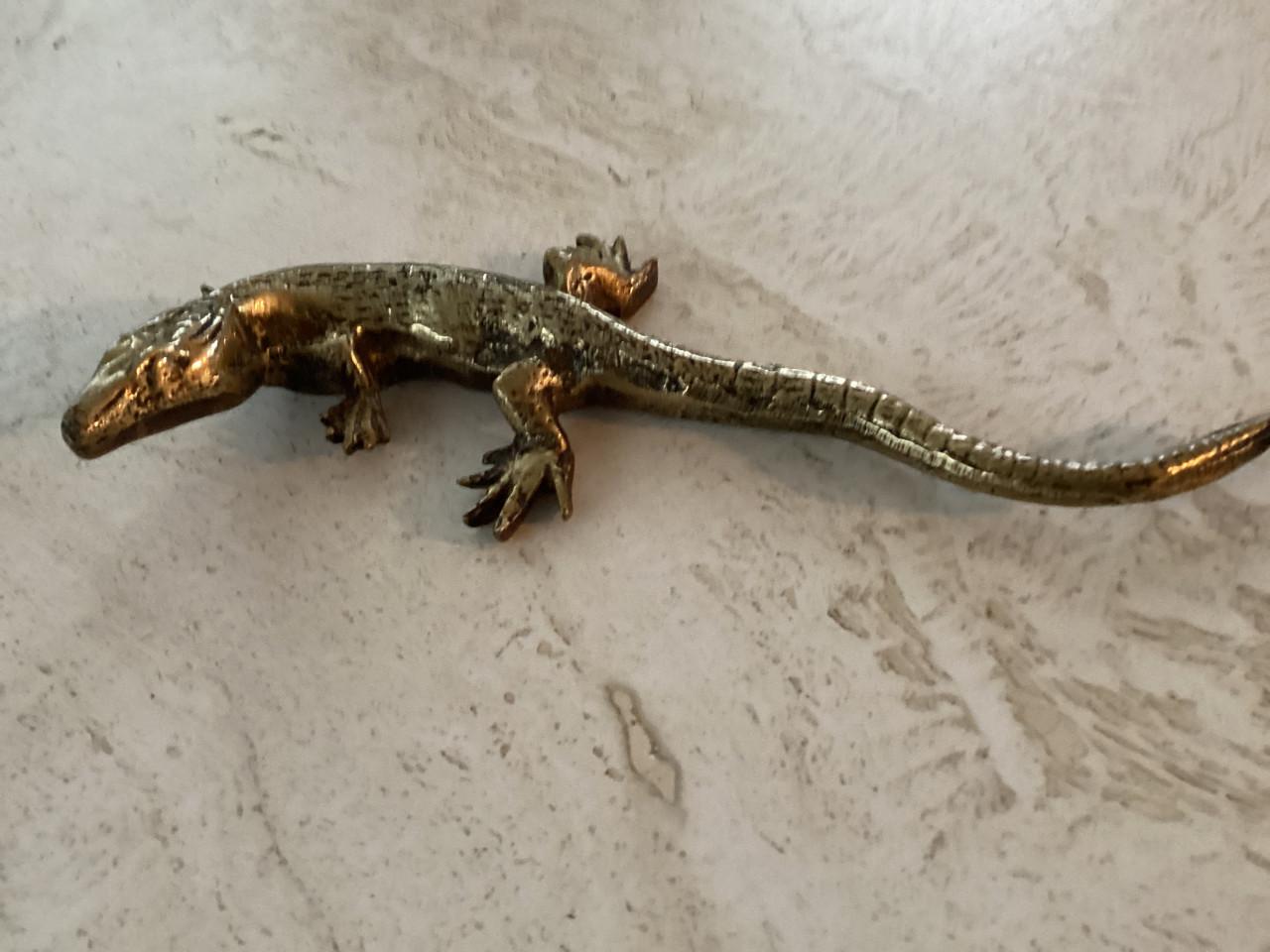 Koperen krokodil en salamander