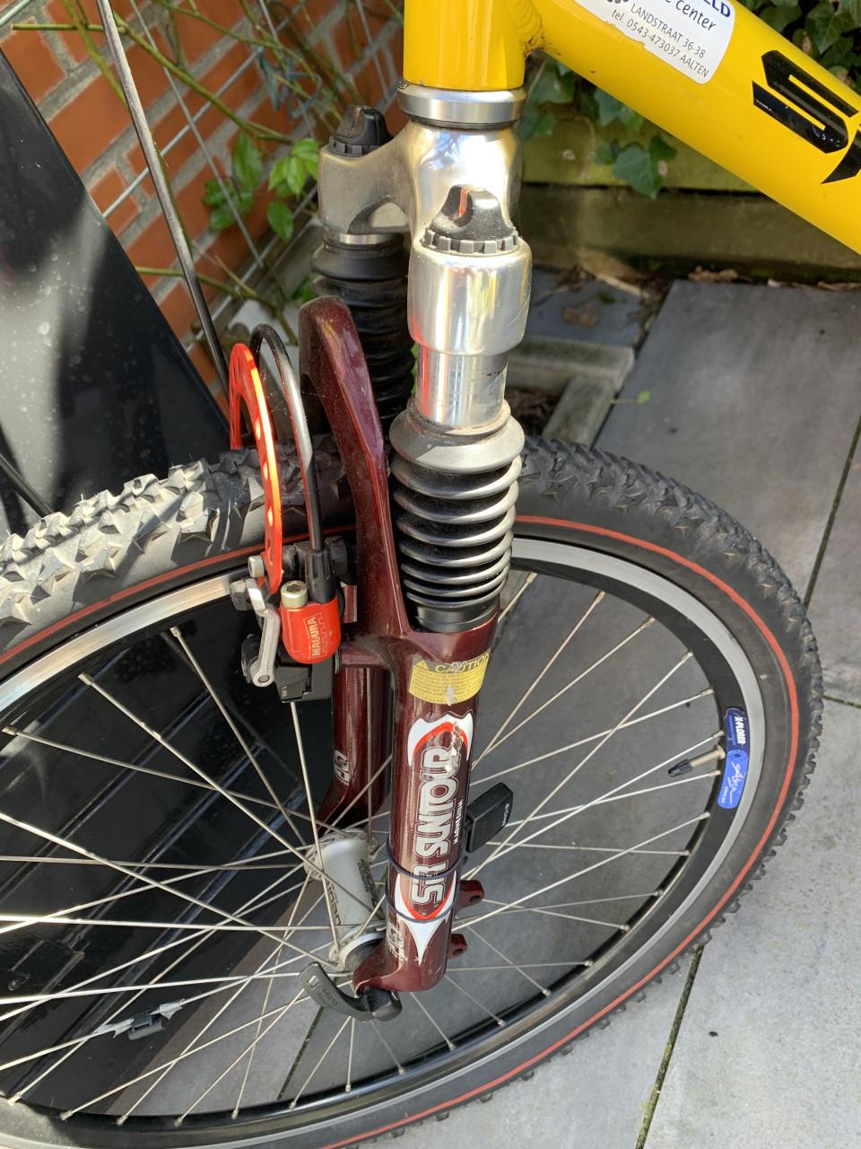 Sintesi mountainbike