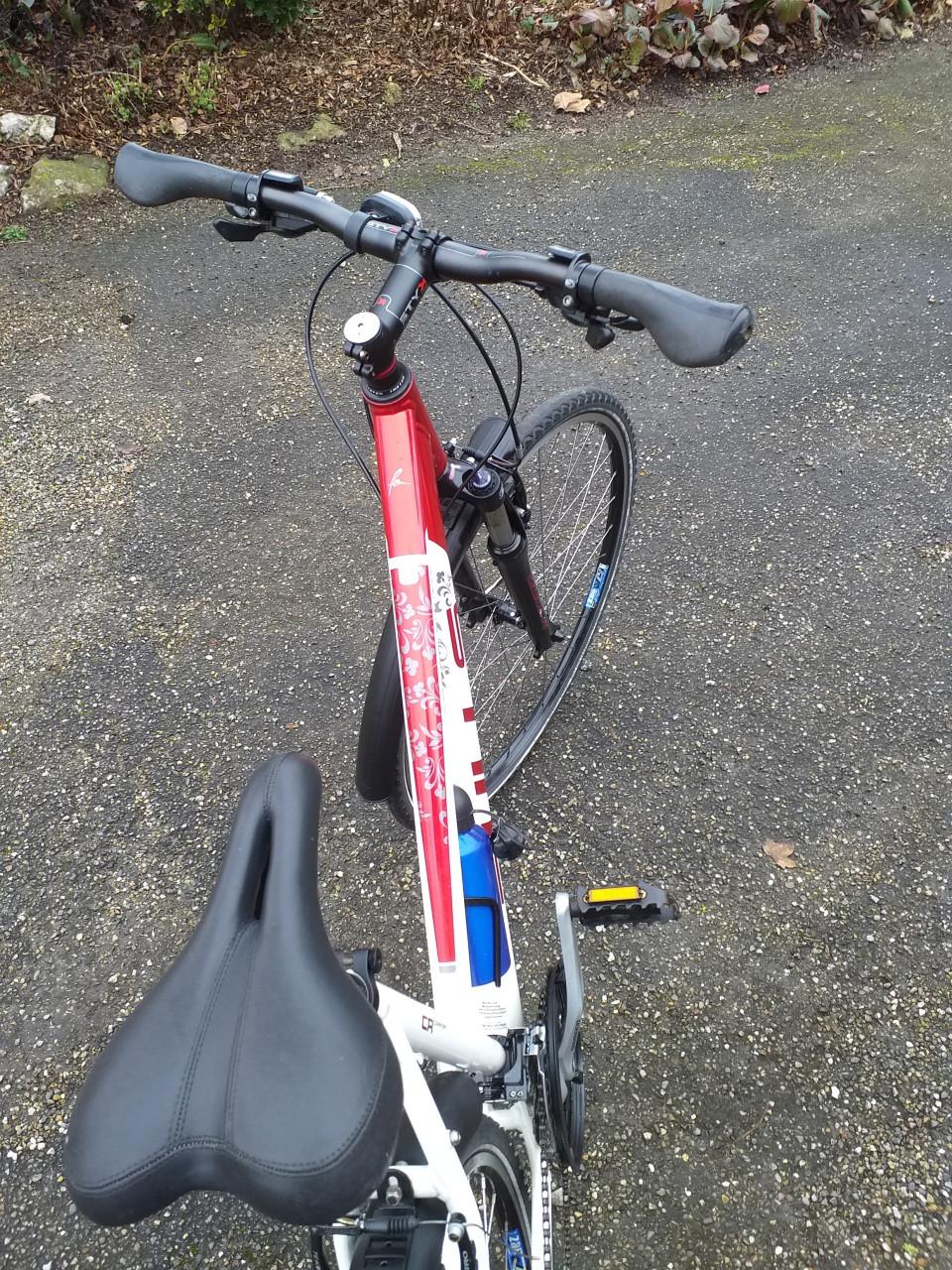 """"BULLS CR COMFORT CROSS SWING ( dames of jongens )""""